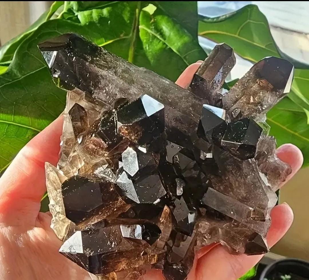 Black Crystal Corde